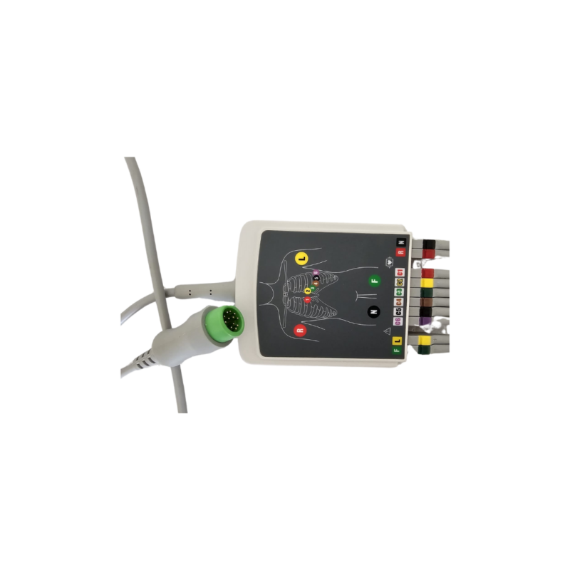 Box acquisizione dati ECG con cavo per ECG 12 derivazioni, innesti a banana Φ 4, per IE3 e IE6 Biocare